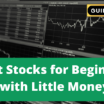 Best Stocks for Beginners with Little Money