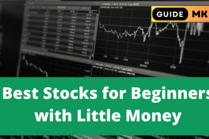 Best Stocks for Beginners with Little Money