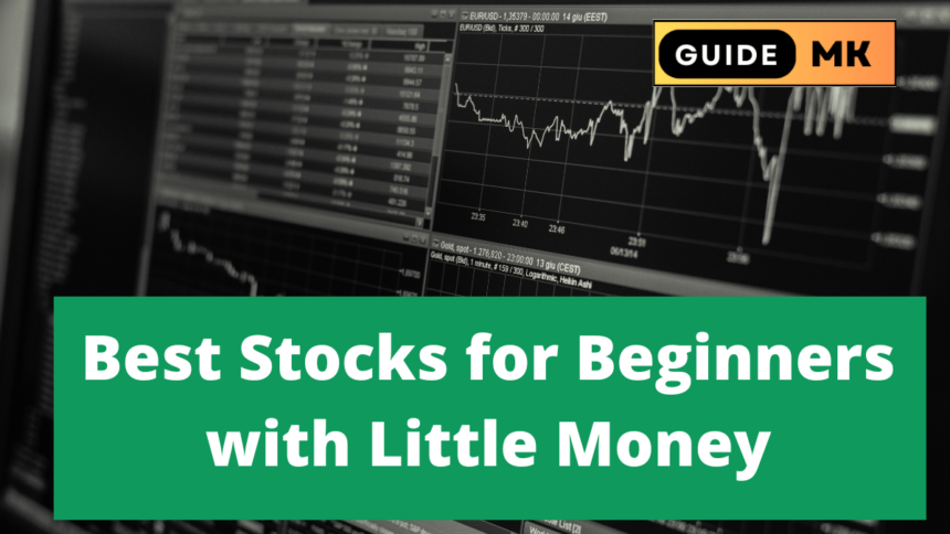 Best Stocks for Beginners with Little Money